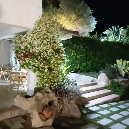 Li Petri Manni Όλμπια