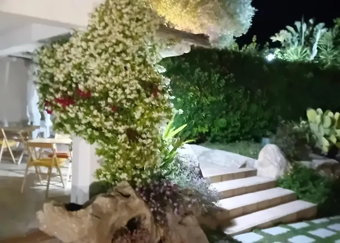 Li Petri Manni オルビア